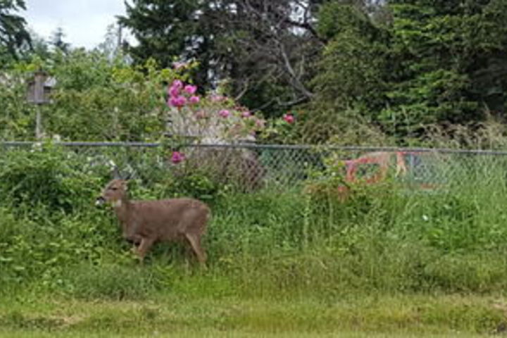 Property Grounds 101 of 126