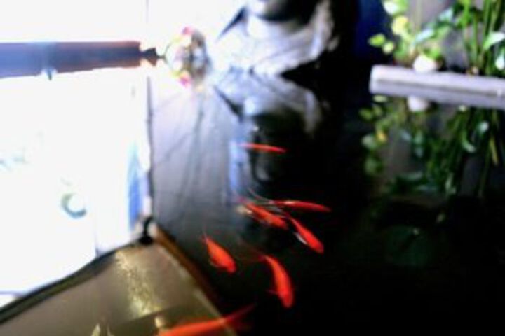 Property Grounds 25 of 28