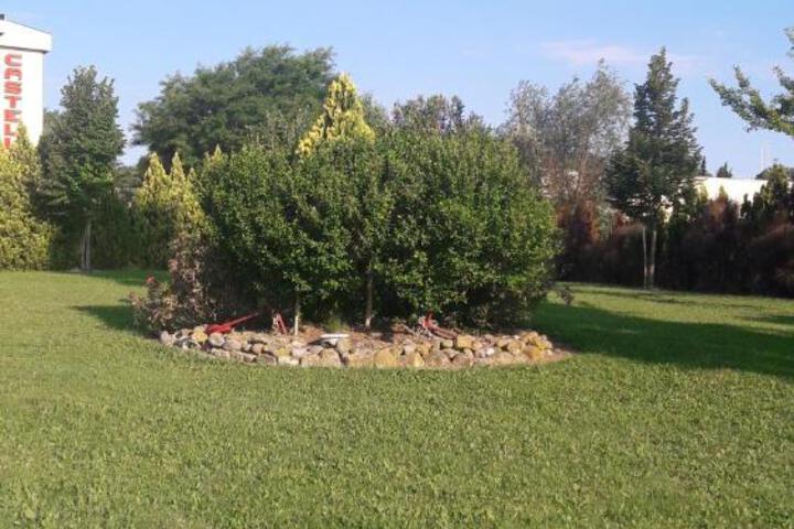 Photo 26