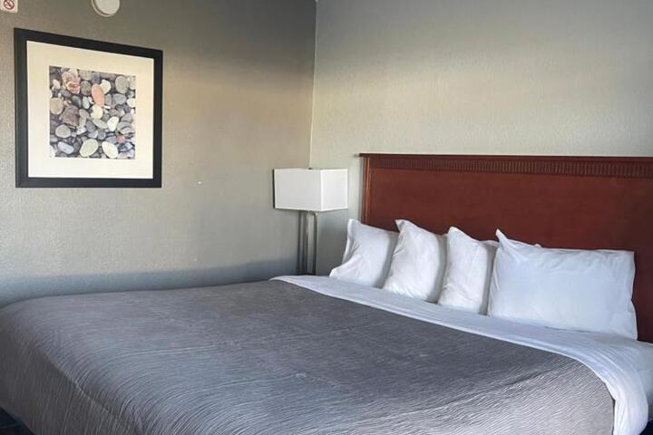 1 King Bed (1 of 12)