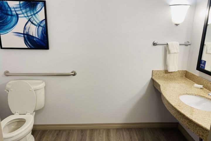 1 King Bed Accessible (11 of 24)