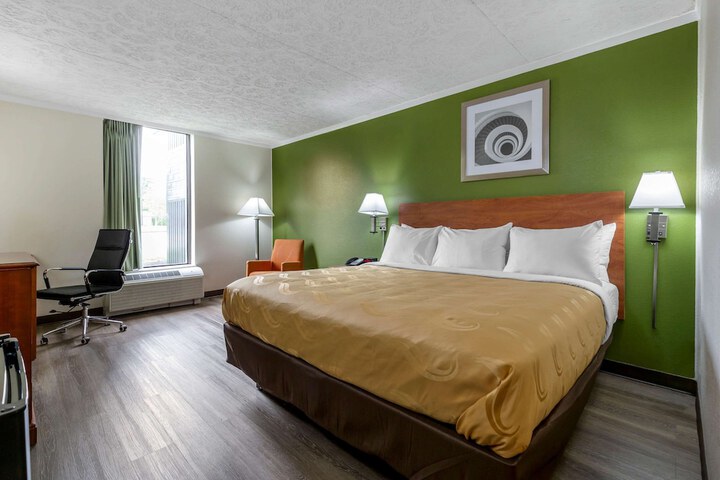 1 King Bed (3 of 10)