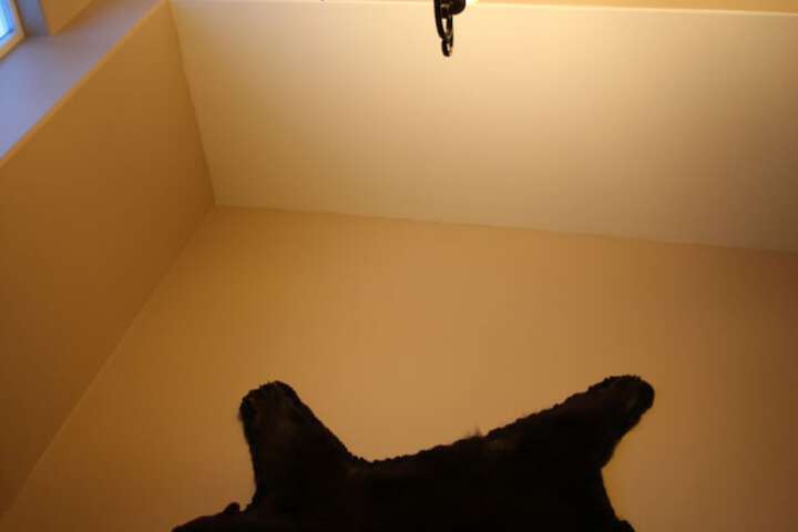 Hotel Interior 37 of 41