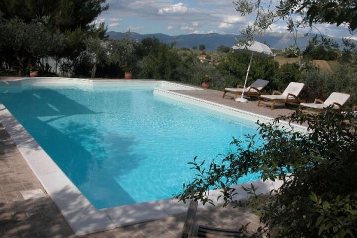 Pool 12 of 24