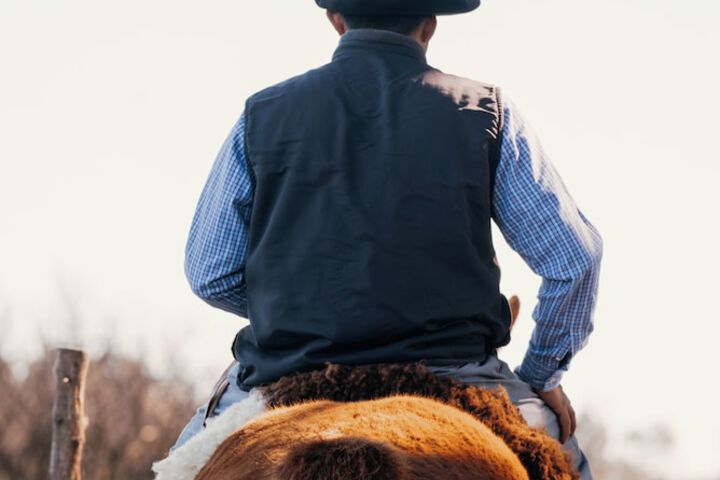 Hotel 62 of 74