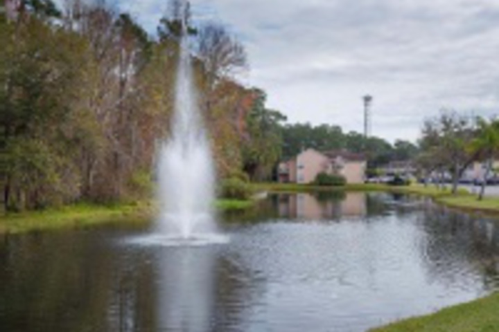 Property Grounds 6 of 24