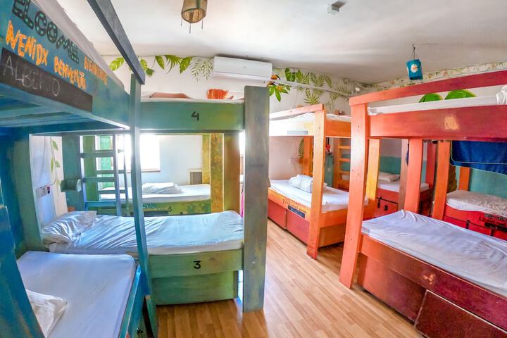 Room 7 of 51