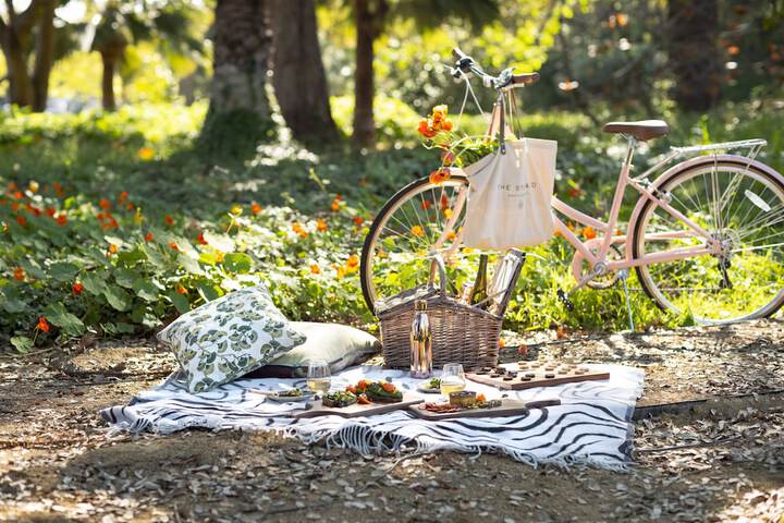 BBQ/picnic area