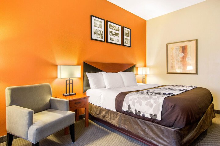 1 King Bed (8 of 15)