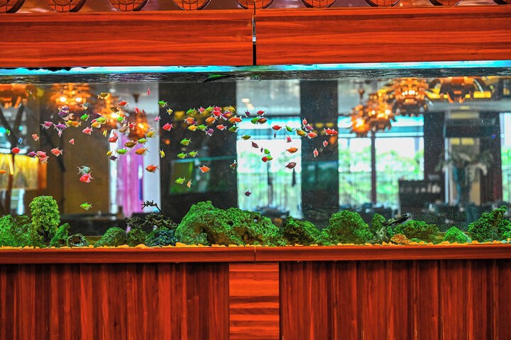 Hotel Interior 3 of 57