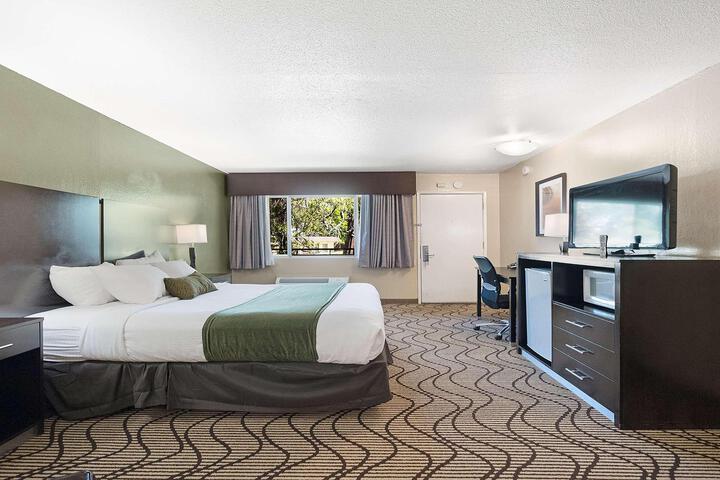 1 Queen Bed Deluxe Room High Speed Internet Accessible Sitting Area Desk Microwave (17 of 17)