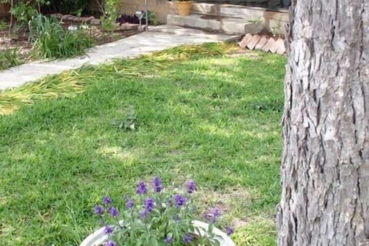 Property Grounds 26 of 34