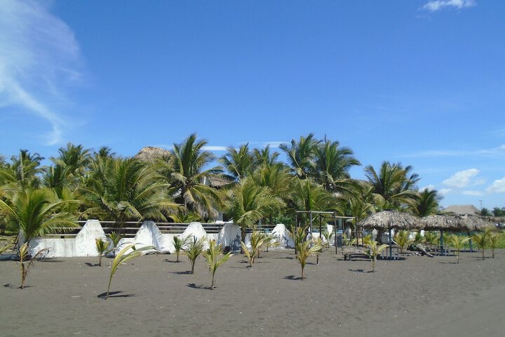 Beach 199 of 228