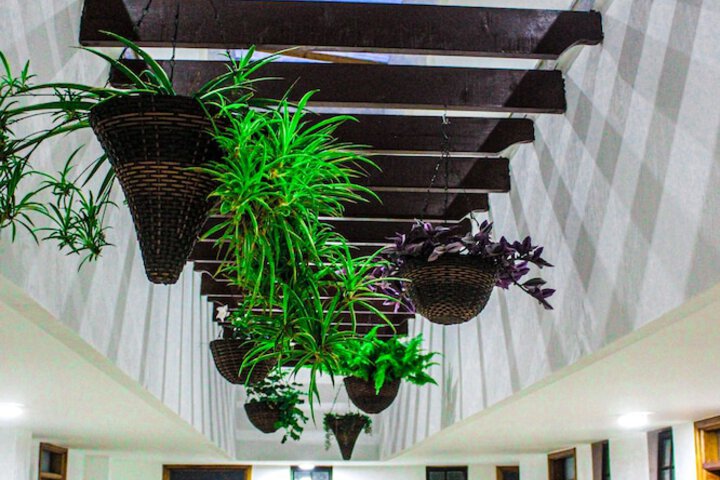 Hotel Interior 43 of 55