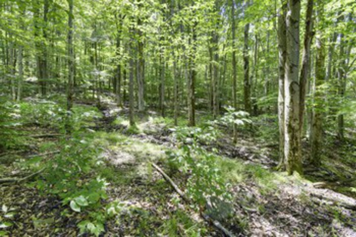 Property Grounds 23 of 40