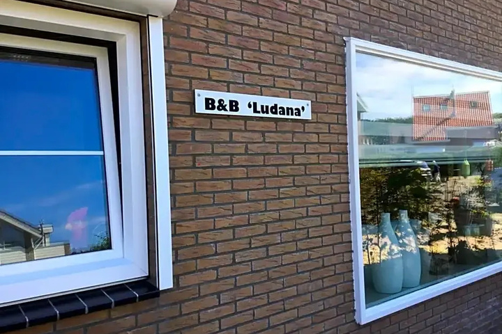 Ludana