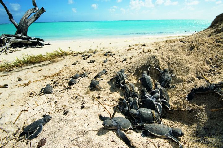 Property Grounds 66 of 96