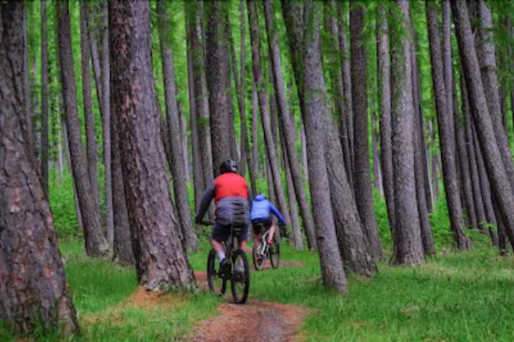 Bicycling
