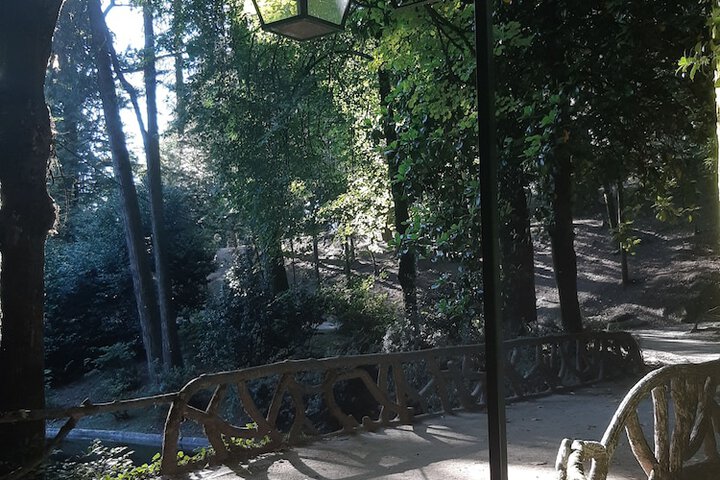 Property Grounds 33 of 46