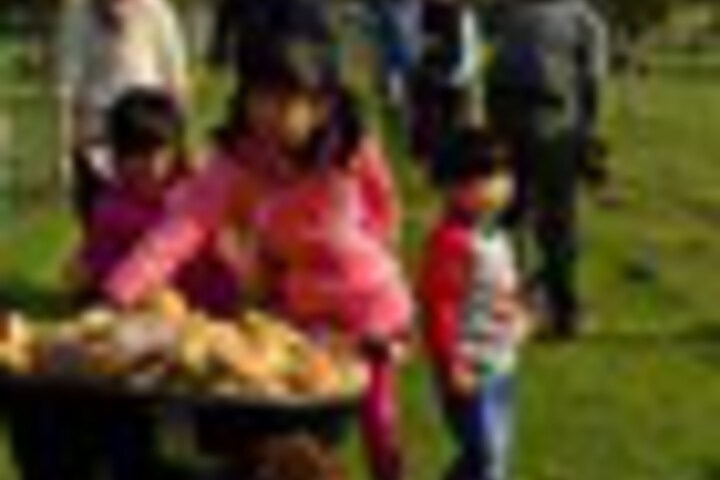 Childrens Activities 65 of 144