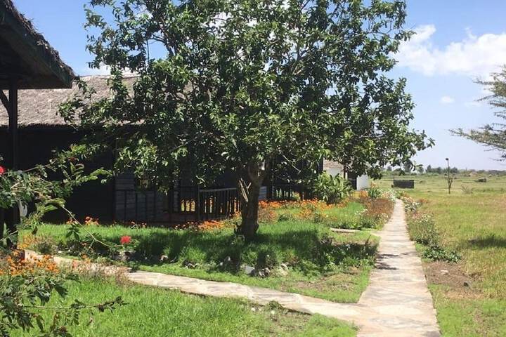 Property Grounds 18 of 30