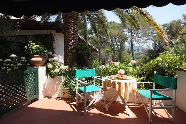 Terrace/Patio 46 of 110