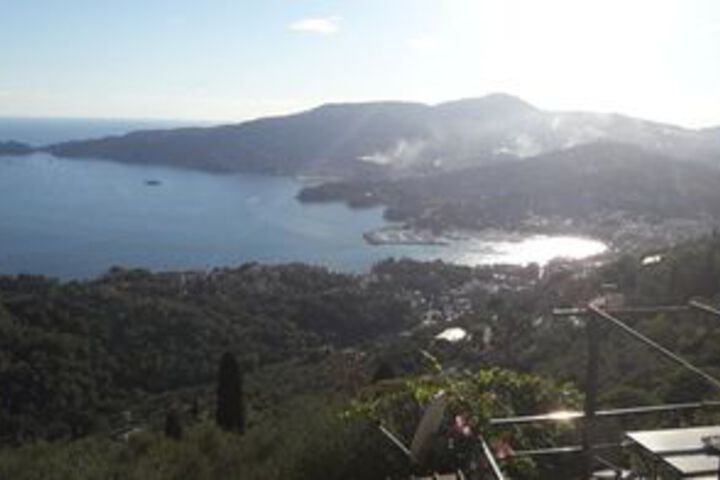 Fronte
