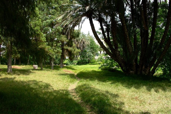 Property Grounds 30 of 32