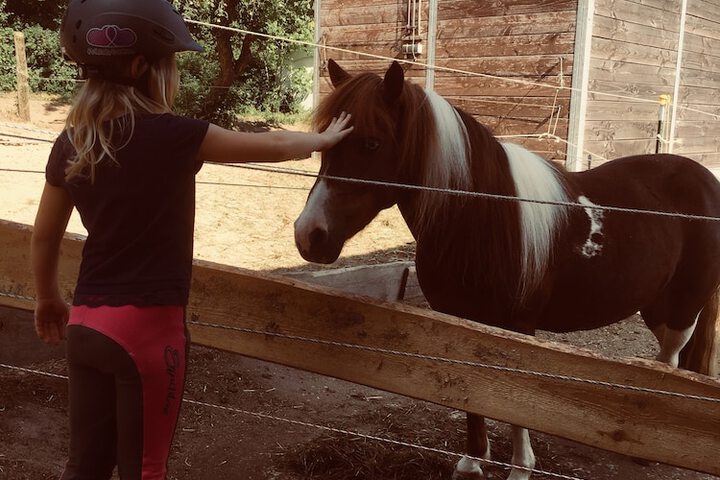 Horseback riding