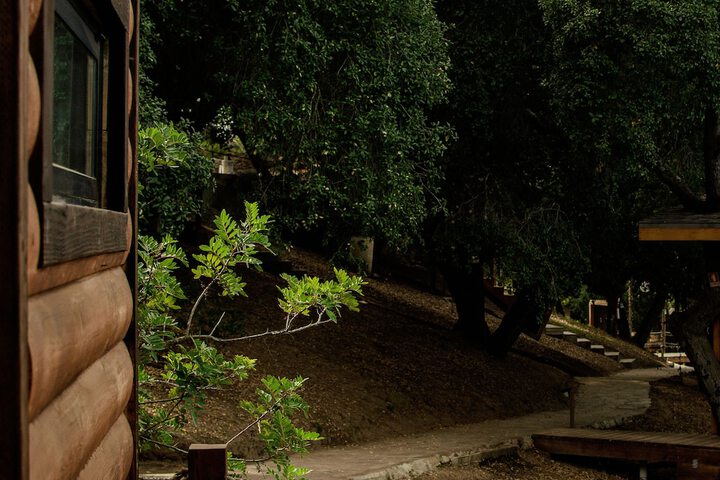 Terrace/Patio 29 of 79