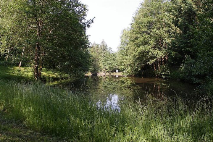 Property Grounds 21 of 27