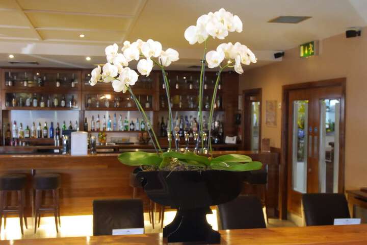 Lounge 77 of 95