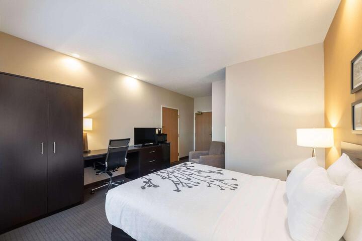 1 Queen Bed Accessible (8 of 14)