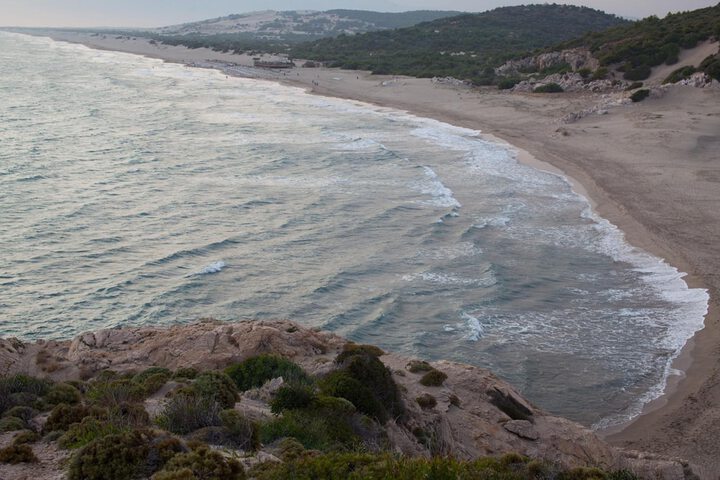 Beach 50 of 63