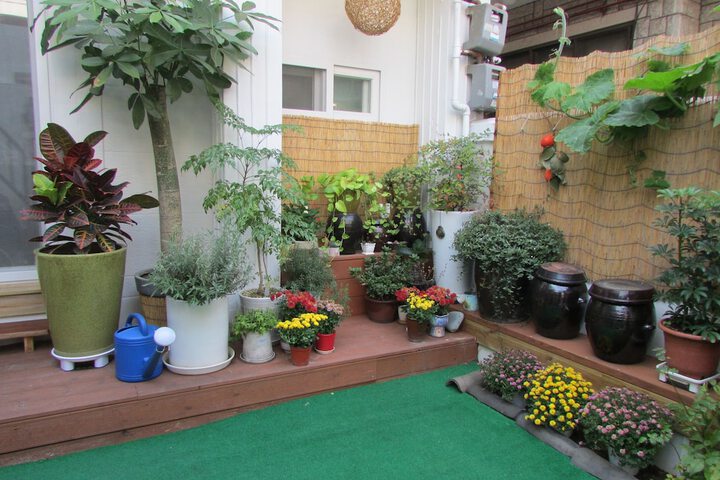 Garden