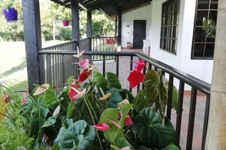 Terrace/Patio 14 of 20