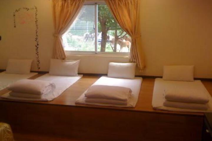 Room 3 of 8