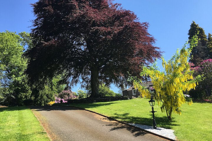 Property Grounds 23 of 40