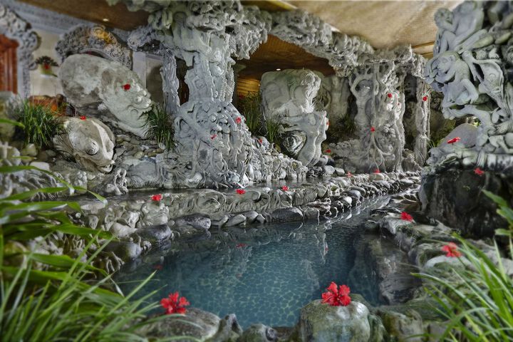 Spa and Wellness
