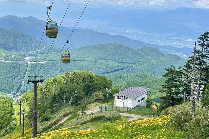 ・[Nearby] Beautiful day lilies can be seen from the summer gondola