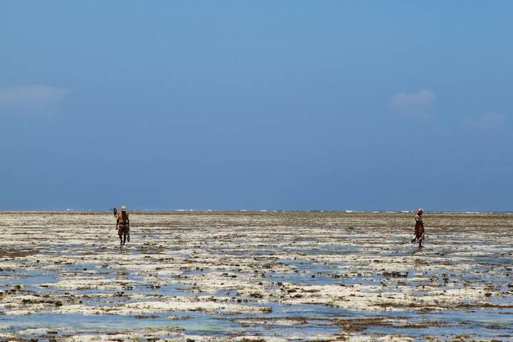 Beach 57 of 64