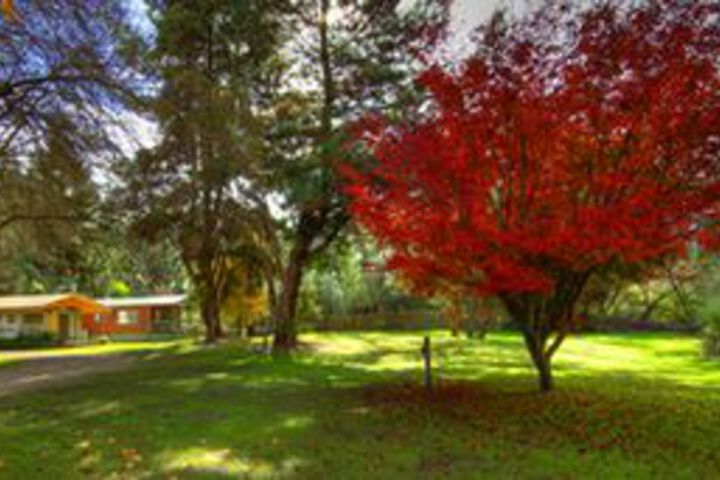 Property Grounds 29 of 36