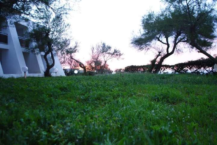 Property Grounds 31 of 41