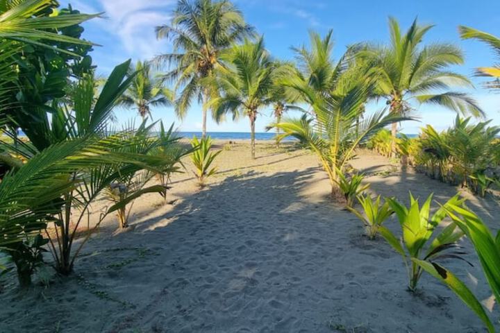 Beach 36 of 45