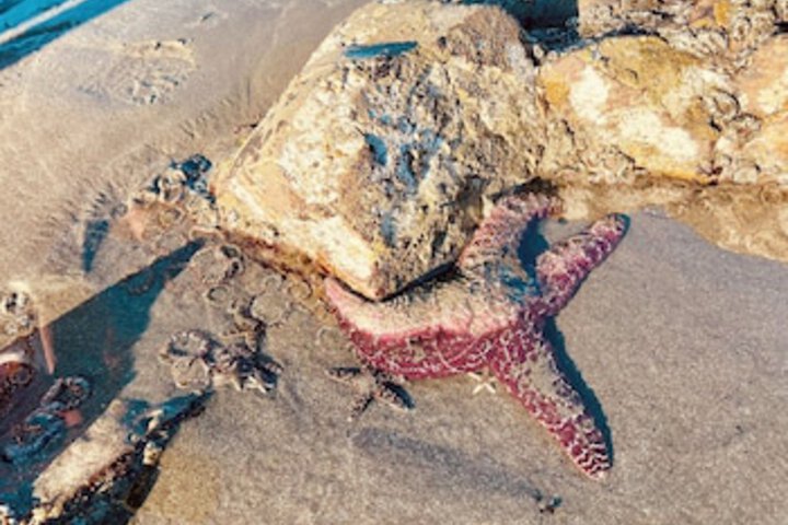 Beach 37 of 69