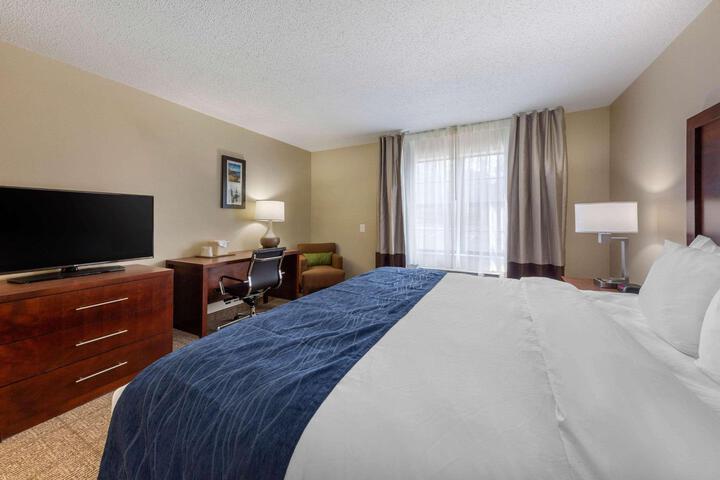 1 Queen Bed Accessible (11 of 19)
