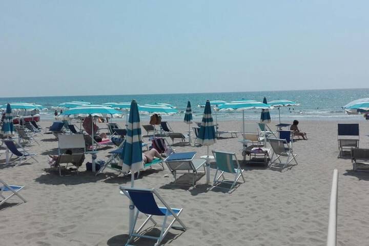 Beach 37 of 51