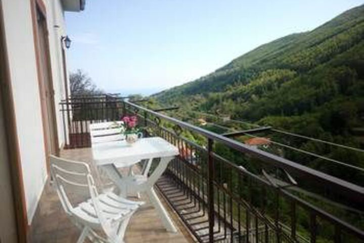 Terrace/Patio 246 of 256