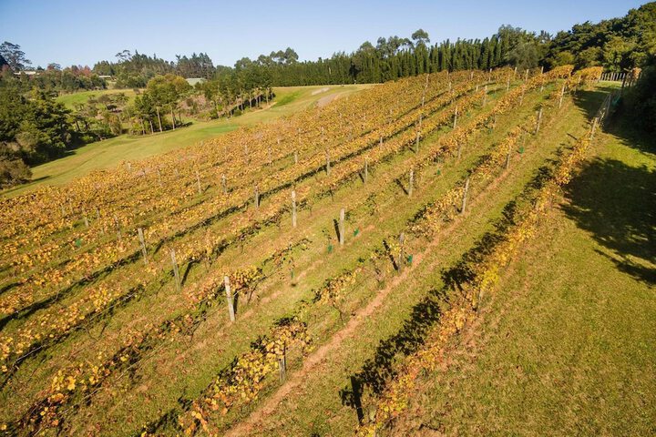 Property Grounds 32 of 45