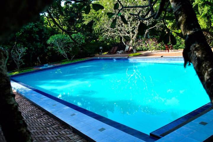 Pools & Facilities